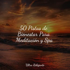 50 Pistas de Bienestar Para Meditación y Spa - Sonido Del Bosque y Naturaleza