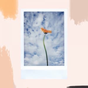 Music for Study and Summers - Jazz Guitar Solo - Smooth Chill Playlist