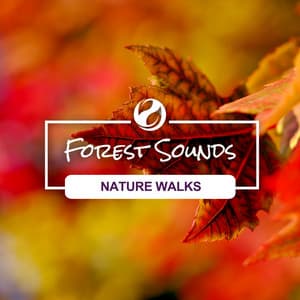 Nature Walks - Forest Sounds