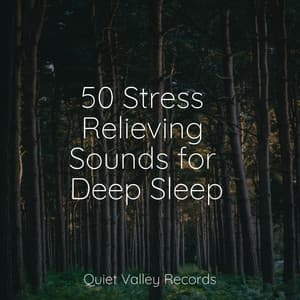 50 Stress Relieving Sounds for Deep Sleep - Rain Sound Plus