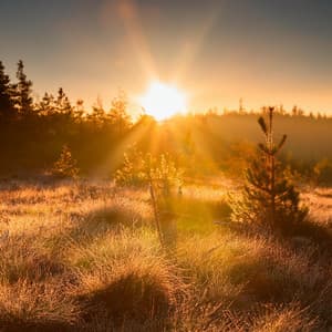 Viajes Armónicos: Colección De Música De Guitarra - Guitarra Clásica Española