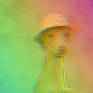 Bgm for Puppy Calmings - Chill My Pooch