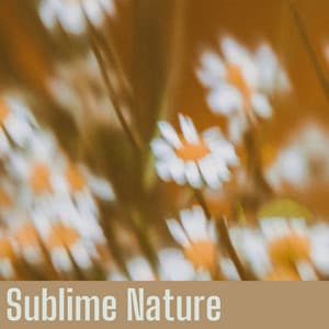 Sublime Nature - Nature Sounds Nature Music