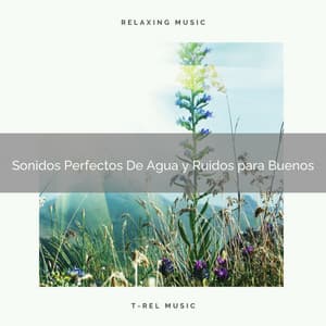 Sonidos Perfectos De Agua y Ruidos para Buenos - Ruido Blanco Para Estudiar