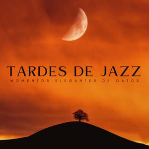 Tardes De Jazz: Momentos Elegantes De Gatos - Club de jazz Soft Coffee House