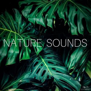 Nature Sounds - SleepTherapy
