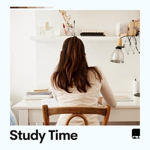 Study Time - Lofi Sleep