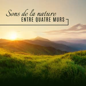 Sons de la nature entre quatre murs: Belle musique de relaxation, #resteràlamaison - Oasis Des Bruits Naturels