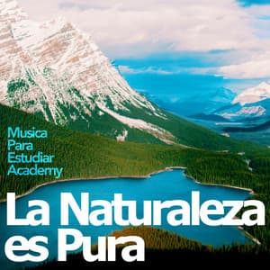 La Naturaleza es Pura - Musica Para Estudiar Academy