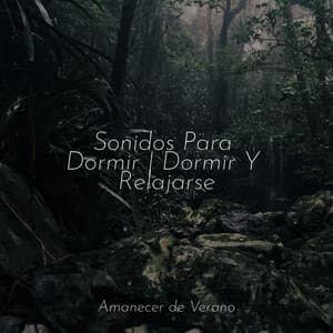 Sonidos Para Dormir | Dormir Y Relajarse - PowerThoughts Meditation Club