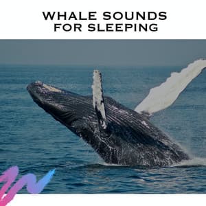 Whale Sounds for Sleeping - Ocean Waves Radiance