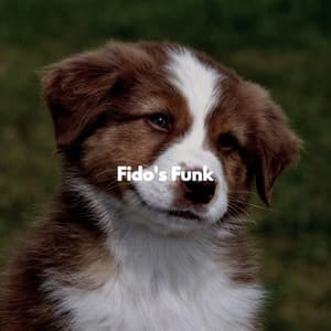 Fido's Funk - Dinner Table Jazz Dream