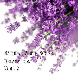 Natural White Noise Relaxation Vol. 2 - Piano for Studying