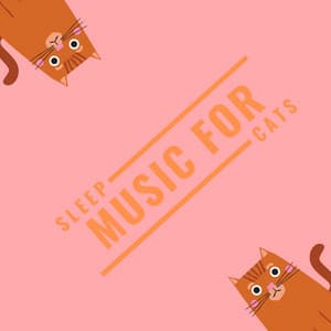 Sleep Music for Cats - Cat Songs