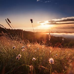 Calming Vibes: Music for Serene Evenings - Calm Music Moments