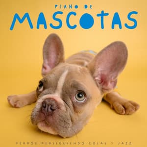 Piano De Mascotas: Perros Persiguiendo Colas Y Jazz - Lista de reproducción de salón de jazz