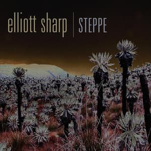 Steppe - Elliott Sharp