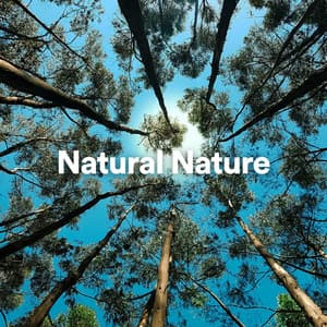 Natural Nature - Worldwide Nature Studios