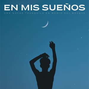 En Mis Sueños: Una Noche Tranquila En Medio Del Bosque - Cultura musical para dormir