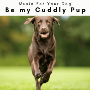 2 0 2 3 Be my Cuddly Pup - Music For Your Dog
