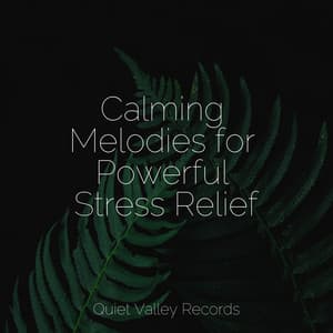 Calming Melodies for Powerful Stress Relief - The Sleep Specialist
