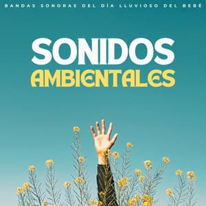 Sonidos Ambientales: Bandas Sonoras Del Día Lluvioso Del Bebé - Tranquilidad Eterna