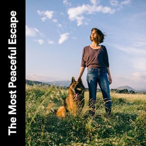 The Most Peaceful Escape - Nature & Sounds Backgrounds