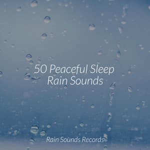 50 Peaceful Sleep Rain Sounds - Meeresrauschen