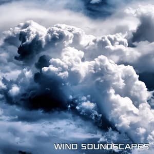 Wind Soundscapes - Wind Soundscapes