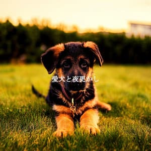 愛犬と夜更かし - Soft Cafe Lounge