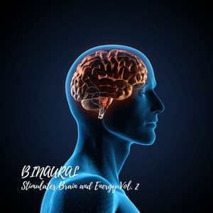 Binaural: Stimulates Brain and Energy Vol. 2 - Romantic Sex Music
