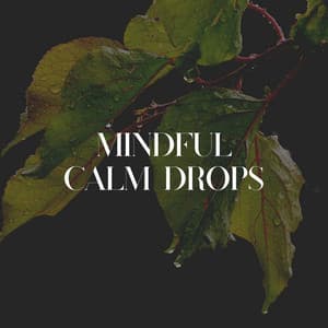 Mindful Calm Drops - Sample Rain Library