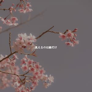 見えるのは緑だけ - Coffee Shop Lounge