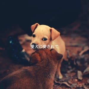 愛犬に愛されて - Easy Listening Jazz
