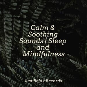 Calm & Soothing Sounds | Sleep and Mindfulness - Ambient