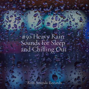 #50 Heavy Rain Sounds for Sleep and Chilling Out - Relaxing Mindfulness Meditation Relaxation Maestro