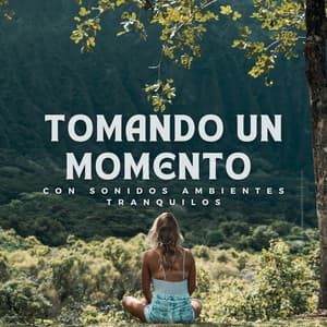 Tomando un Momento con Sonidos Ambientes Tranquilos - Ambiente de naturaleza