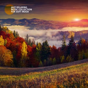 Jazz Relaxing Music Collection for Soft Mood: Keep Calm Feeling in the Evening, Jazz for Bathing - Relaxing Piano Music Oasis