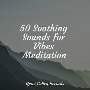 50 Soothing Sounds for Vibes Meditation - Sample Rain Library