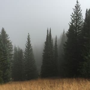 Rain Storm Sounds Of Nature - Natural Sound Makers