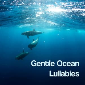 Gentle Ocean Lullabies - The Ocean Waves Sounds