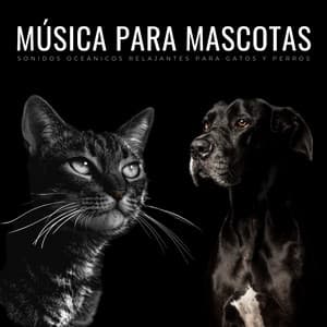 Música Para Mascotas: Sonidos Oceánicos Relajantes Para Gatos Y Perros - Canciones para que los perros duerman
