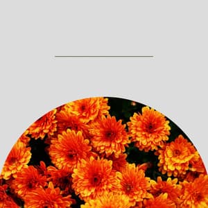 Simplistic Backdrop for Refreshing Spring - Jazz Lounge Bar Relaxing