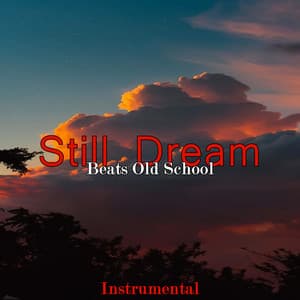 Still Dream - Beats Old School