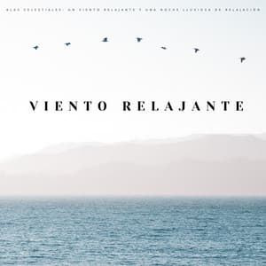 Alas Celestiales: Un Viento Relajante Y Una Noche Lluviosa De Relajación - La lluvia es mi vida