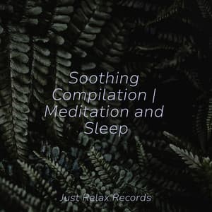 Soothing Compilation | Meditation and Sleep - Musica Romantica