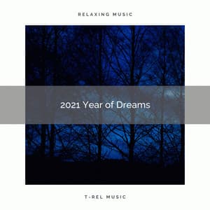 2021 Year of Dreams - Sleep Repeat