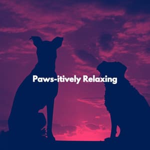 Paws-itively Relaxing - Música Suave para Cafés