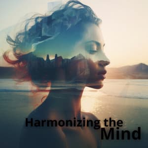 Harmonizing the Mind: Meditation Music for Mental Peace - John Flow