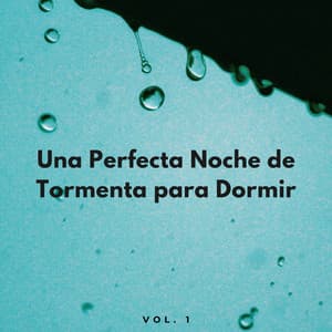 Una Perfecta Noche De Tormenta Para Dormir Vol. 1 - Sueños tormentosos (lluvia)